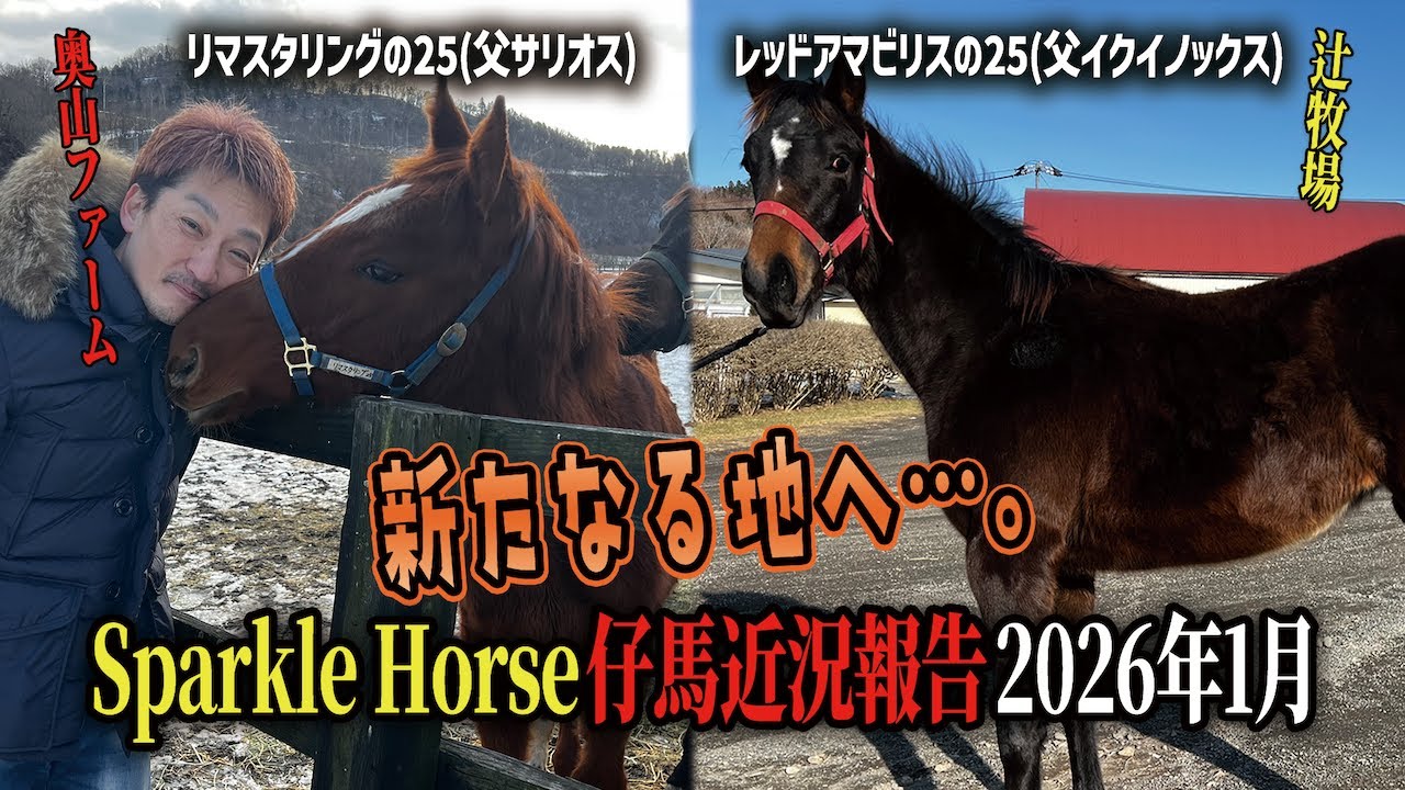 自家生産イクイノックス仔＆サリオス仔を見に真冬の北海道・奥山F、折手牧場、辻牧場にお邪魔してきました！【節約大全】Vol.1439