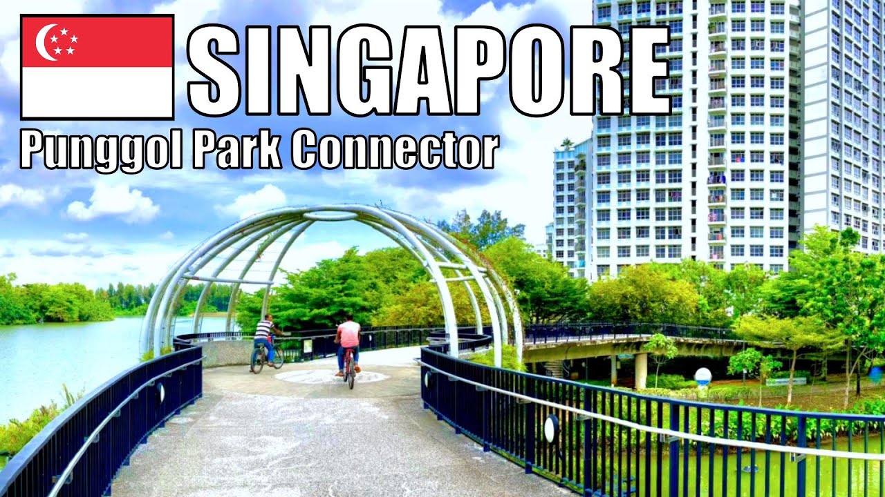 Punggol Park Connector, Singapore 🇸🇬 - Walk to Punggol Settlement | Virtual Walking Tour