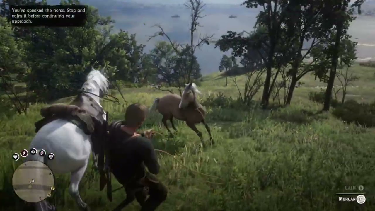 RDR2: Catching a Wild Horse with My Rope! 🐎🔥 #rdr2 #horse #wild #rdr #gameplay