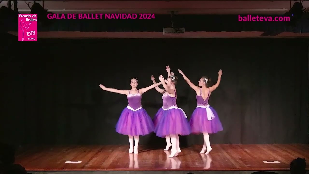 Resumen función navidad 2024