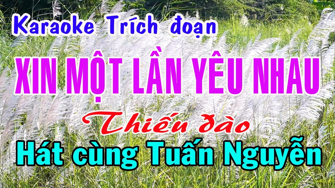 Karaoke trích đoạn XIN MỘT LẦN YÊU NHAU - THIẾU ĐÀO [Hát cùng Tuấn Nguyễn]