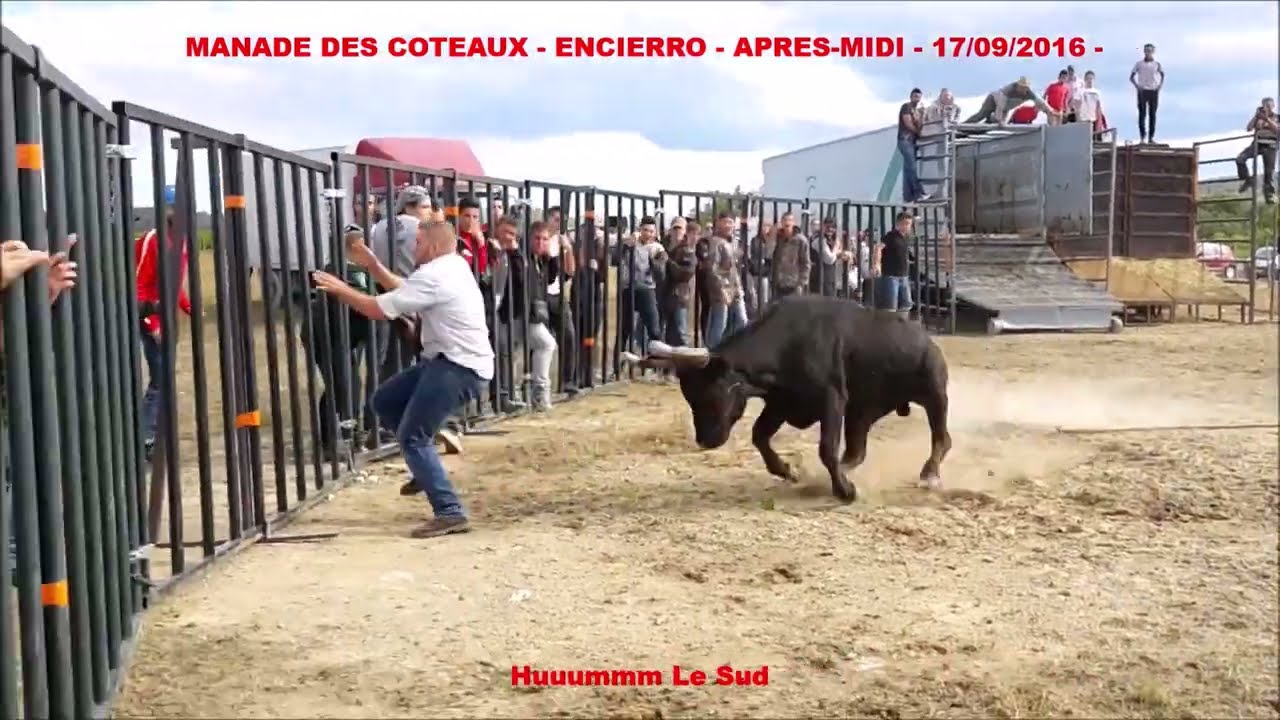 BEST OF 2016 Divers Spectacles Camarguais Partie 2
