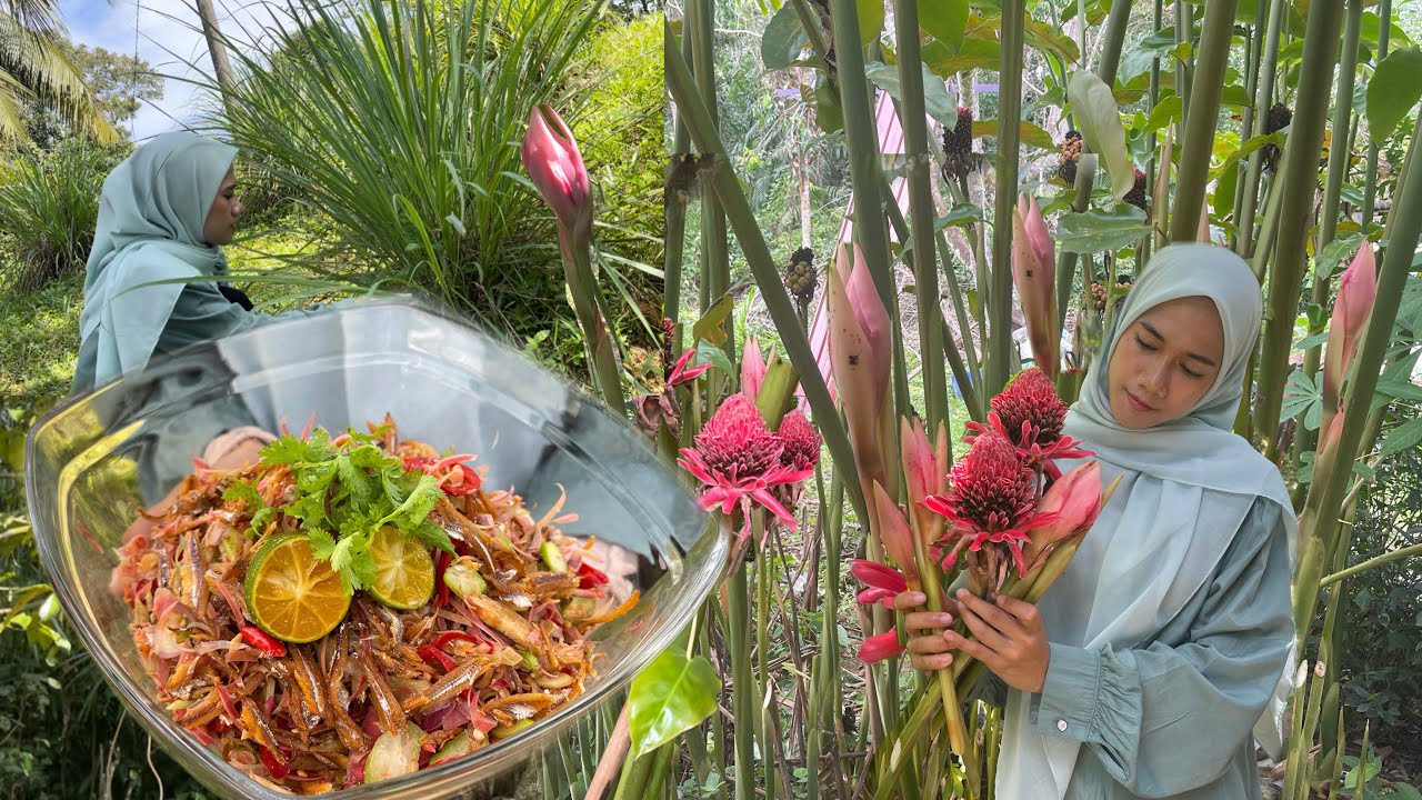 MASAK DARI HASIL KEBUN BELAKANG RUMAH | Jimat banyak takperlu beli lauk dah !