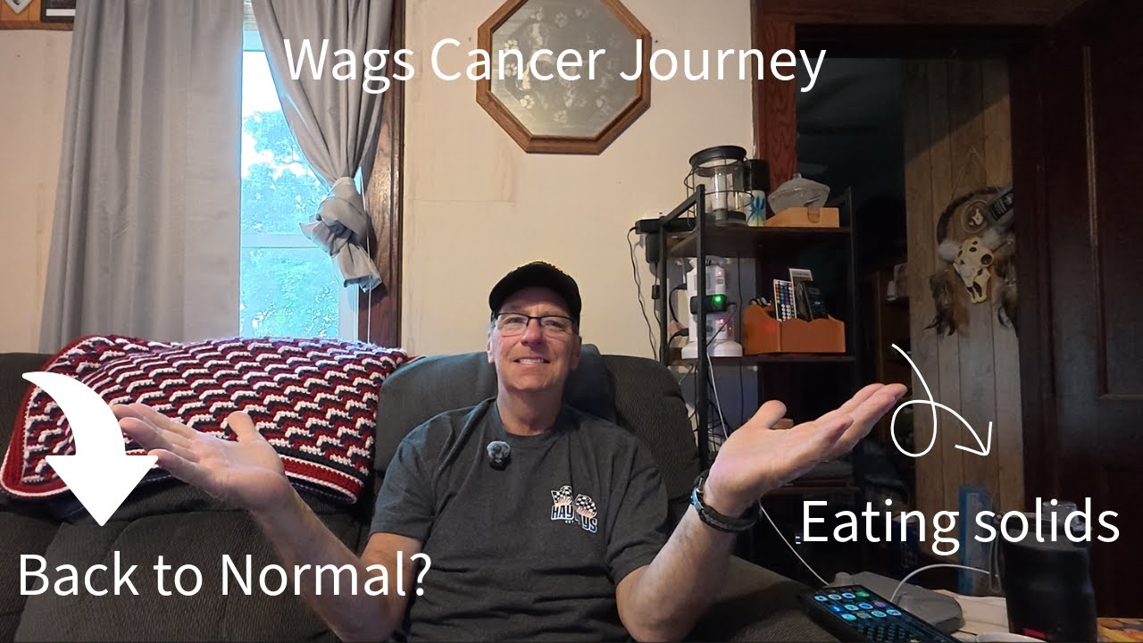 Wags Cancer Journey 