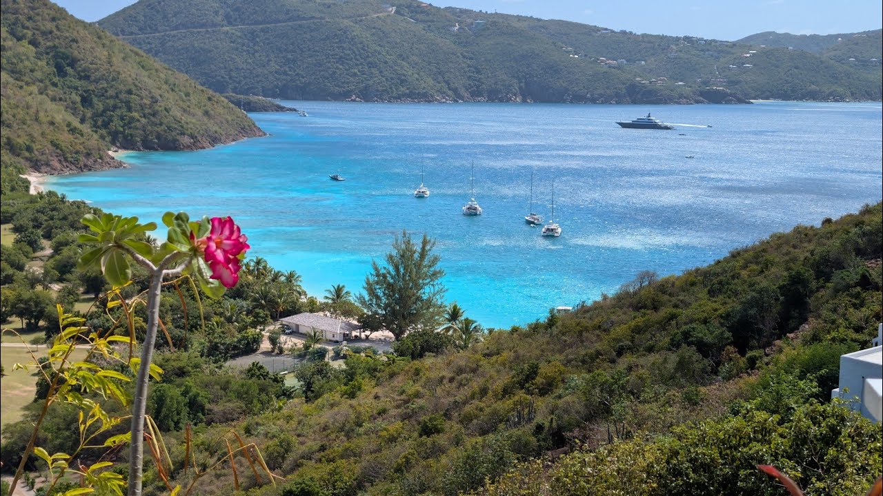 Guana Island clips January 2026