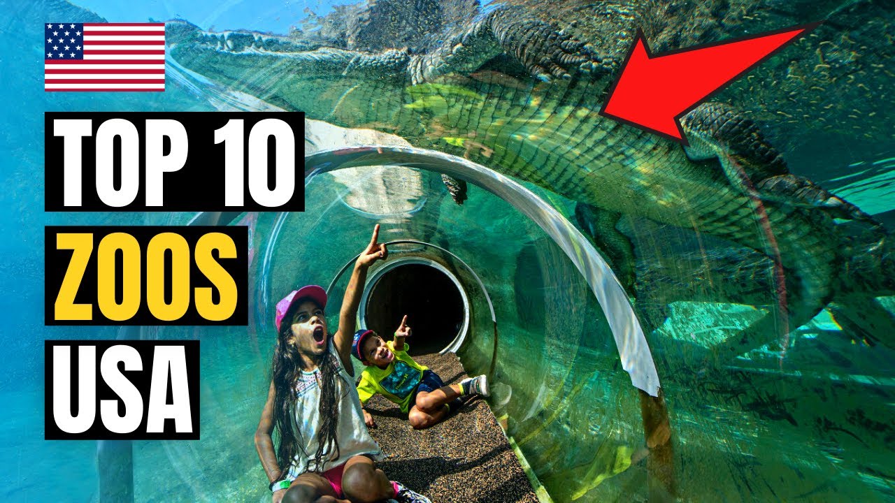Top 10 Best Zoos to Visit in USA 2026