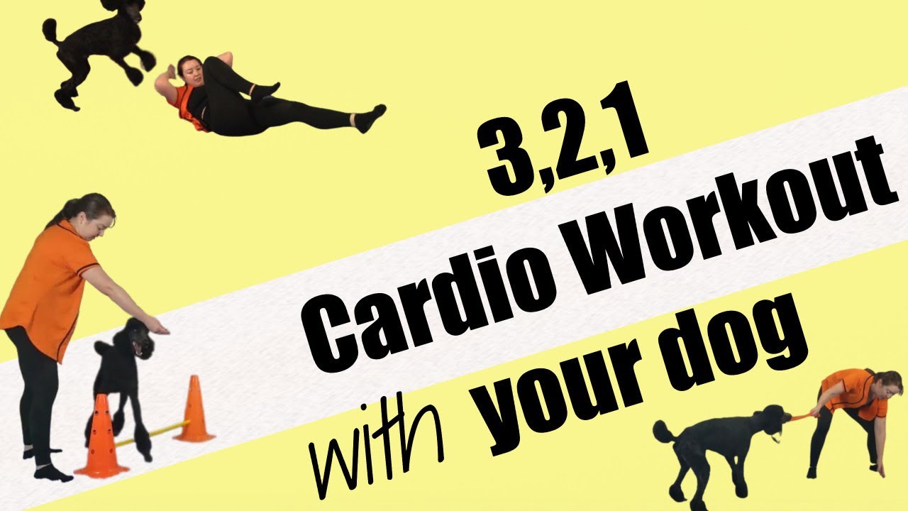 3,2,1 30 Minute Cardio Workout with your Dog! Featuring Buzzy the Poodle!