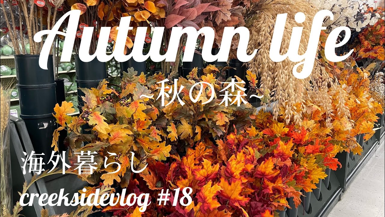 {海外暮らしVlog｝#18 Autumn-colored Days秋色の日々/Katydidキリギリス/Storeお店/Harvest Moon 中秋の名月