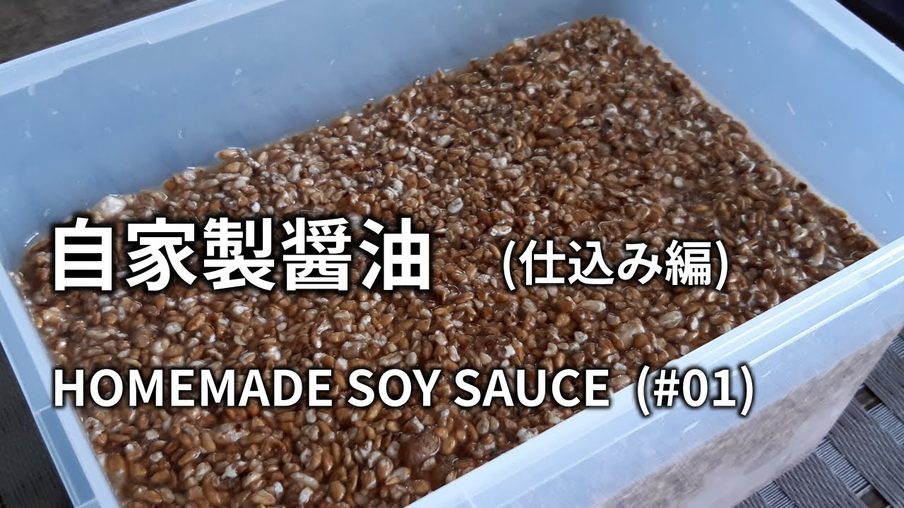 【醤油の作り方(仕込み編) #01】大豆と小麦を発酵させて醤油麹(醤油こうじ)を作り塩水を入れて仕込みます。 HOMEMADE SOY SAUCE 手工酱油