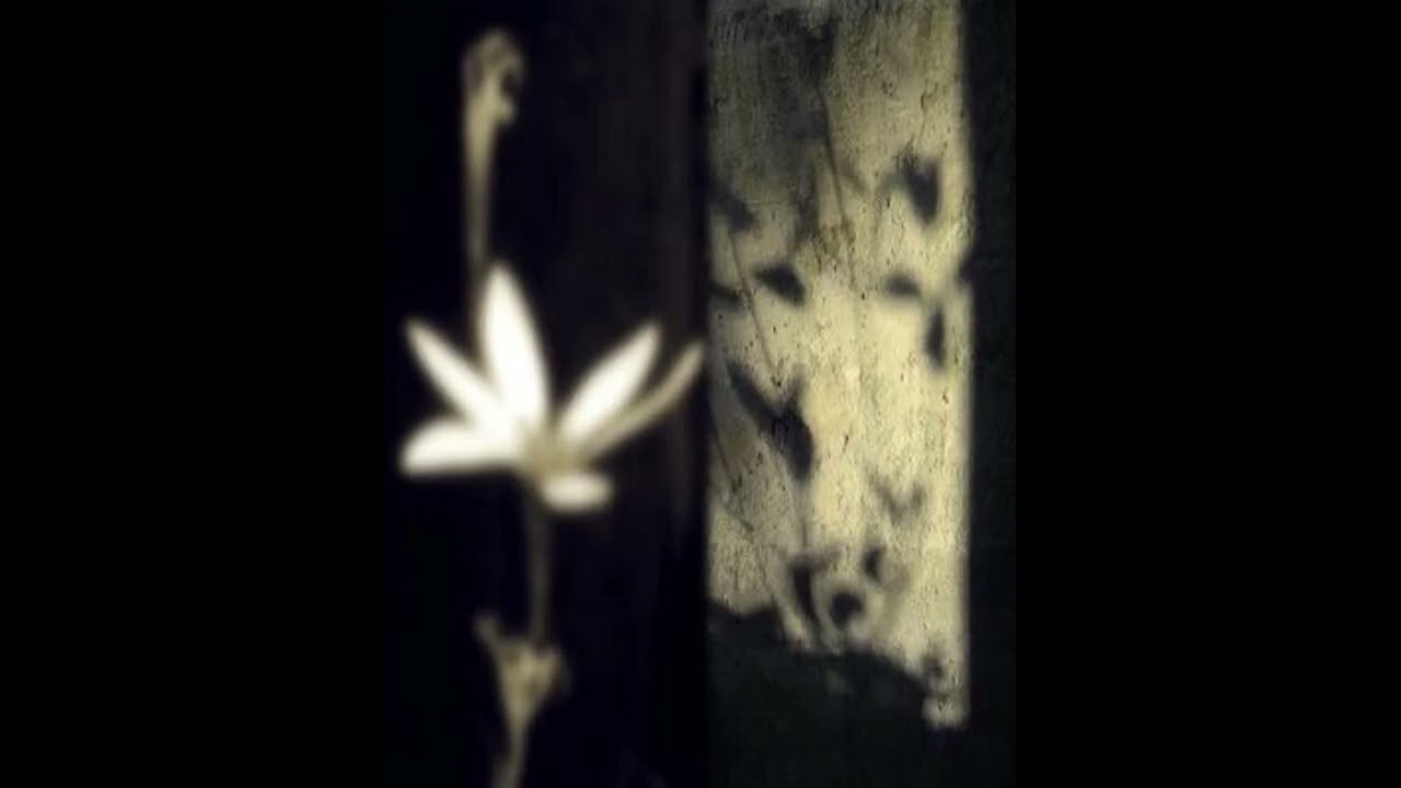 444jet interlude type beat - pretend