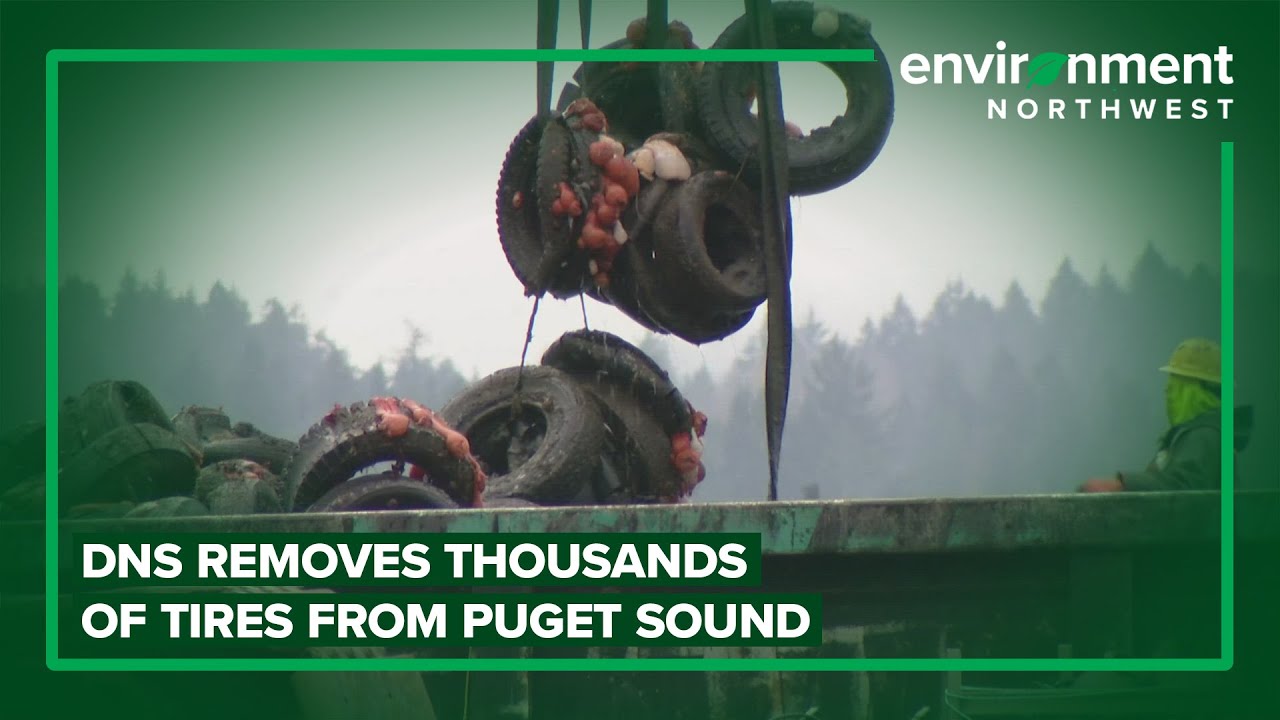 DNR removes thousands of tires from Puget Sound