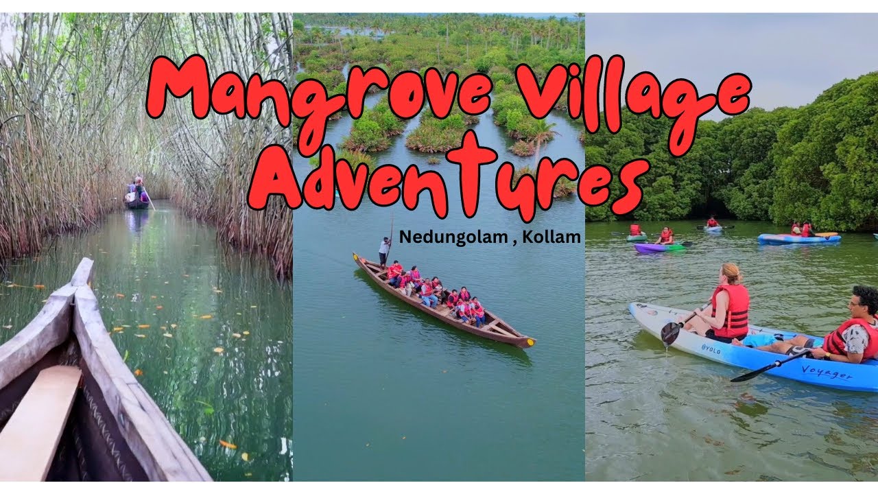 Mangrove Village Adventures | Nedungolam | Kollam | Kayaking | Stand Up Paddling | Country Boat Ride