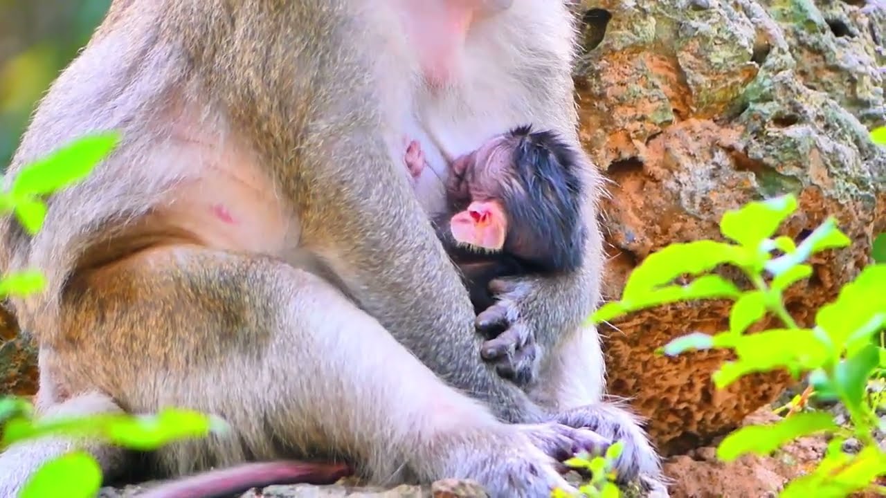 Terribly! Really Stuck Something Hard Into Deep Throat Almost D ied   !