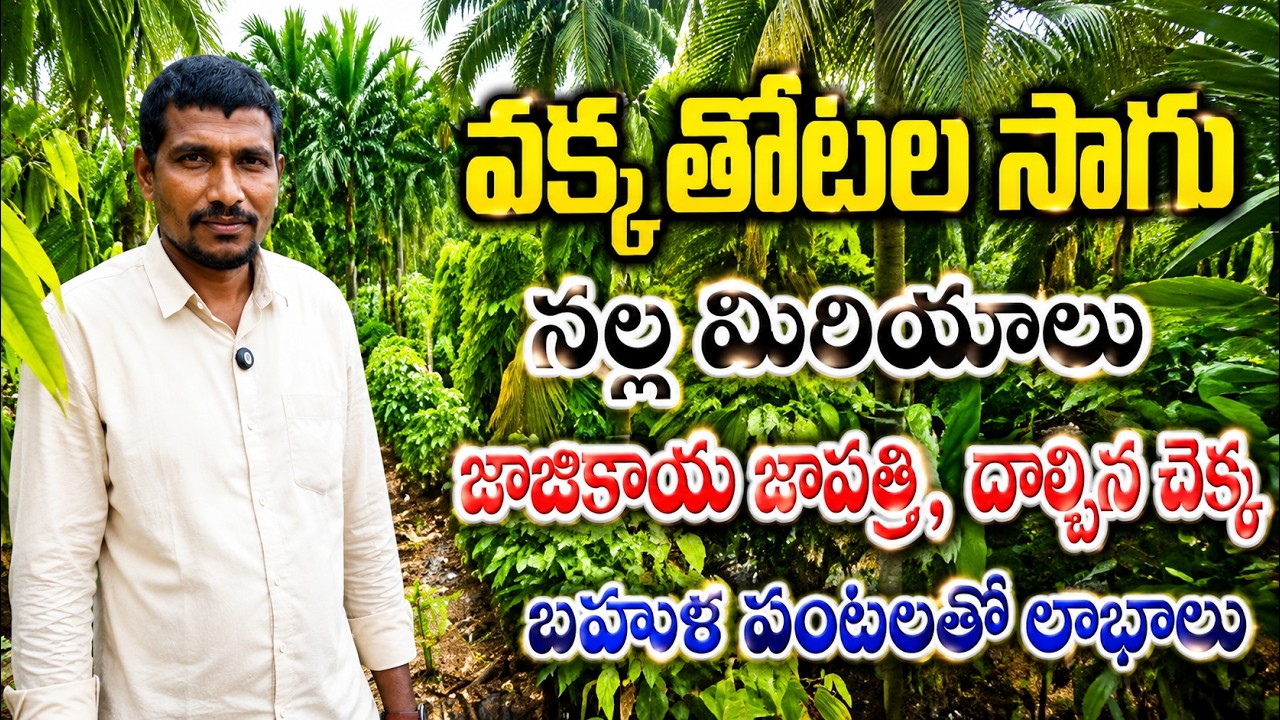 అయిదు ఎకరాల్లో వక్క సాగు | areca nut (betel nut) farming | bhumiputhra telugu