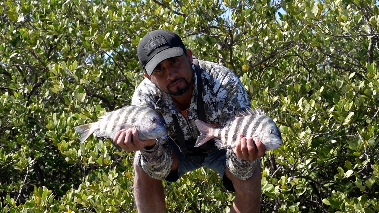 Pesca Y Cocina De Mojarra Cabeza De Borrego