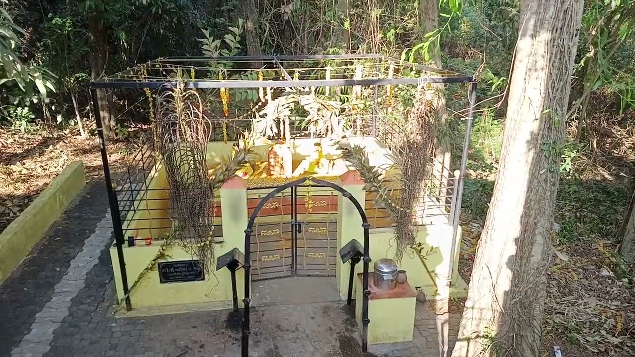 Sree Aiyiravillam Mahadevar Temple Kuzhiyamthekku Chandanathoppe kollam #viral #temple #kollam