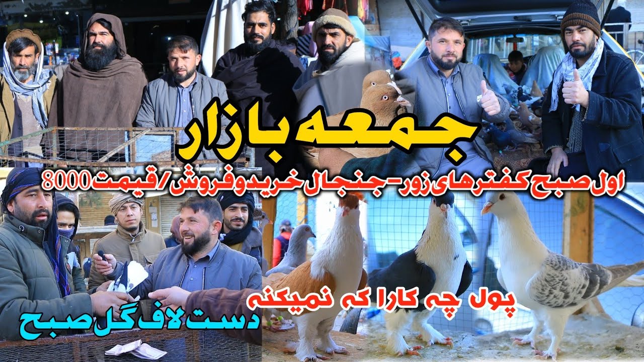 جمعه بازار - یک کفتر دو خریدار | دعوا بر سر خرید و فروش | پول چه کارا که نمیکنه Friday Pigeon Bazar