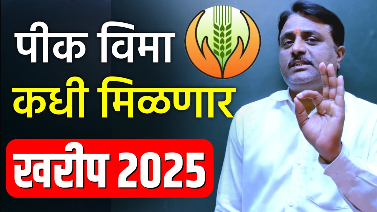 पिक विमा कधी मिळणार? | pik vima update 2023