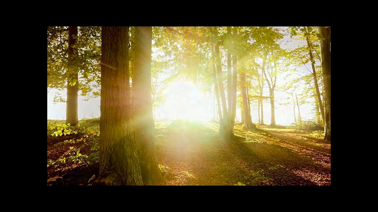 Cinematic Orchestra - All Things To All Men  ( extended Instrumental )