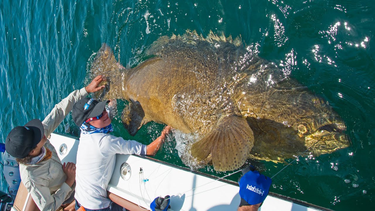 Josh gets Line Burn from Giant Grouper! - ft. Chew On This