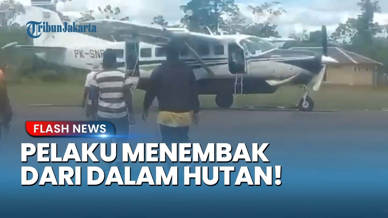 KKB Bersembunyi di Balik Rimba! Fakta-fakta Penembakan Pesawat Smart Air di Boven Digul