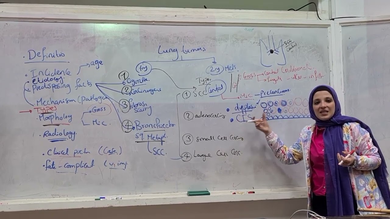 Respiratory Pathology Lung Tumors & Lung Collapse (Updated 2023)
