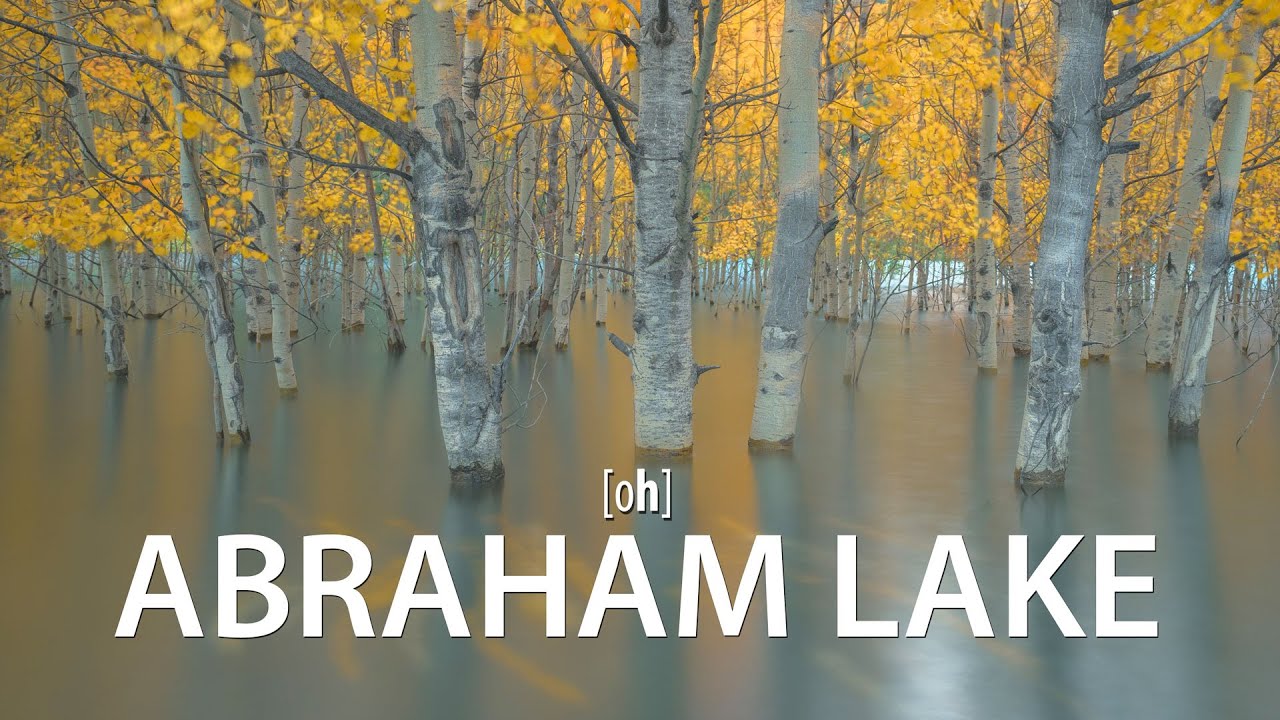 Abraham Lake - Versunkene Bäume im David Thompson Country, Alberta