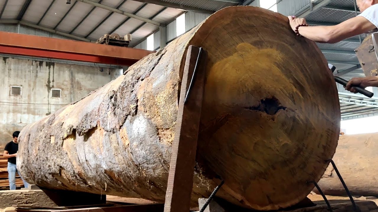 Wood Cutting Skills // Extremely Solid Ironwood Trees