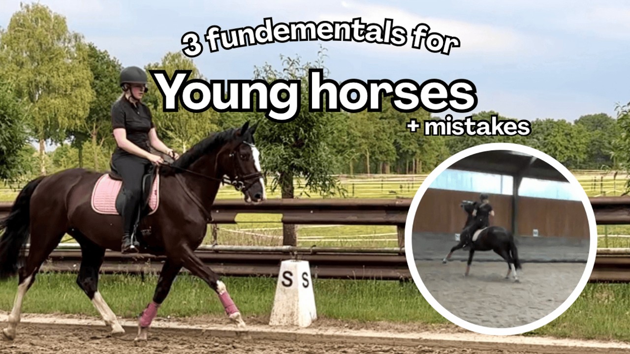 How to ride a young horse: 3 Key Pillars for riding young horses