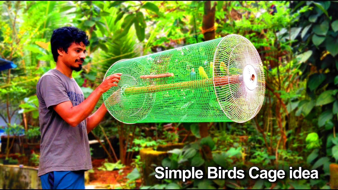 Simple idea To Make a Birds Cage Using irone Net and Fan Guard | DIY Birds Cage idea