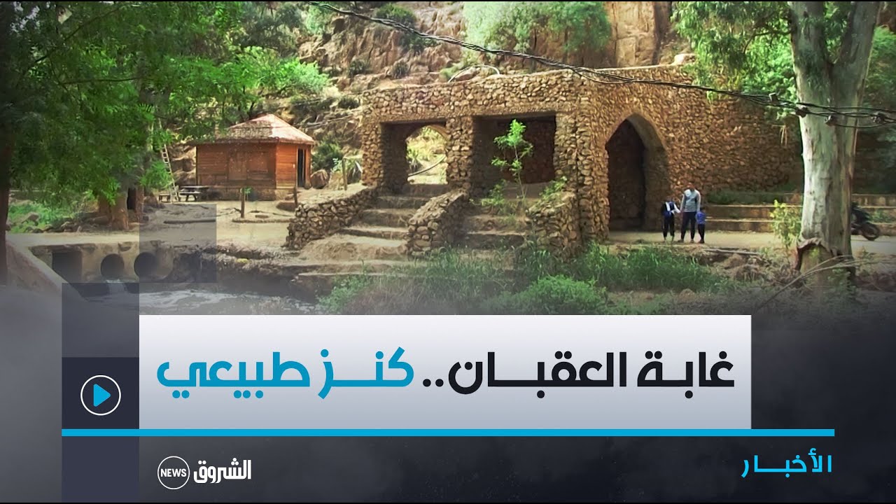 سعيدة: غابة العقبان.. كنز طبيعي يحتاج لمزيد من المرافق و الخدمات😍