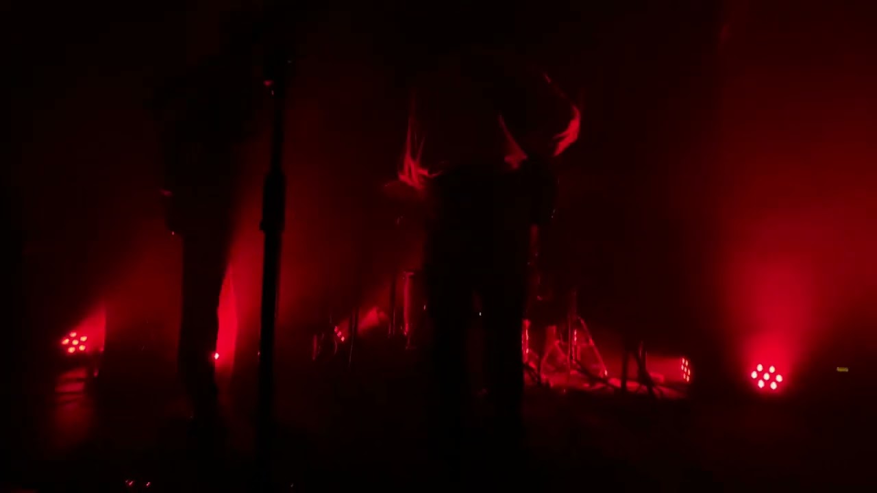 Den der hale