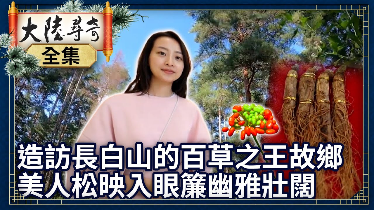 《完整版》造訪長白山的百草之王故鄉 特有美人松映入眼簾幽雅壯闊【@ctvchinatvEP1922】