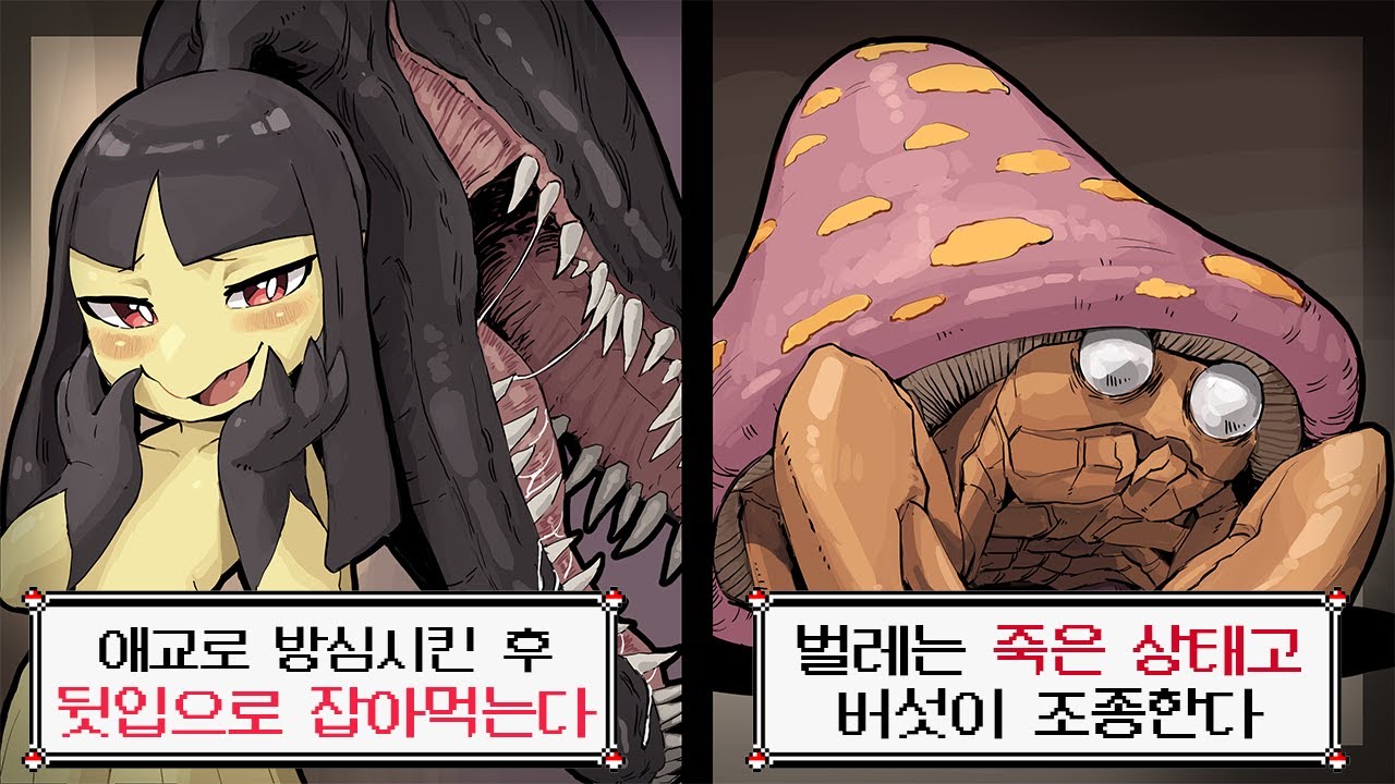 듣기만 해도 소름돋는 포켓몬 괴담 월드컵?!