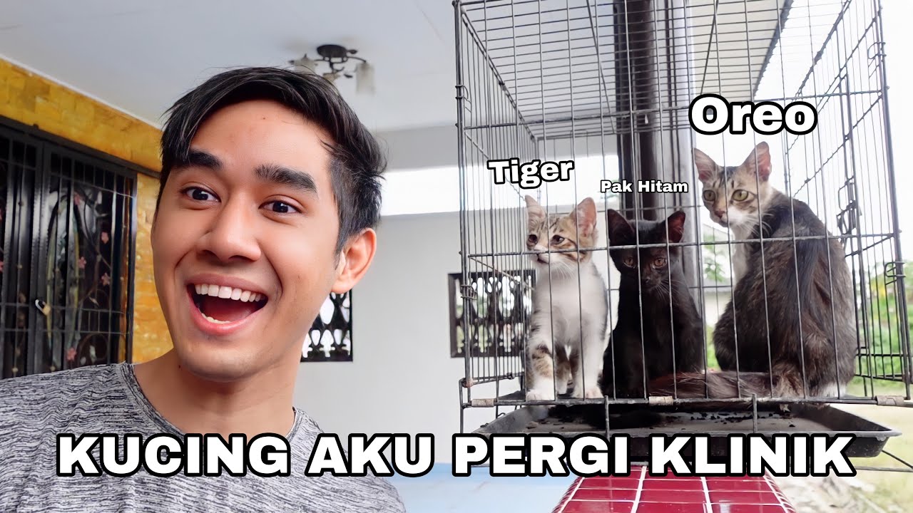 KUCING AKU SAKIT 😢 BAWA PERGI KLINIK 😊