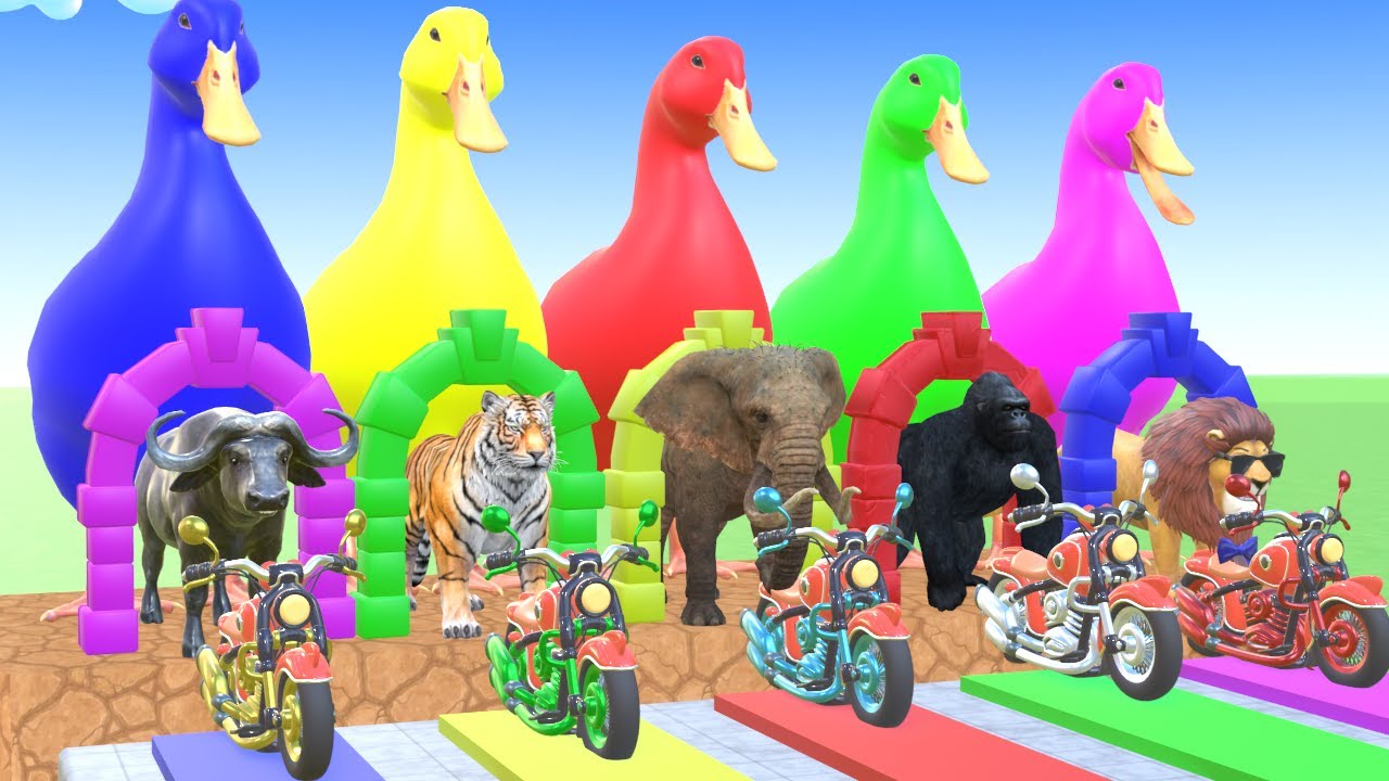 long Slide Game With Cow  Elephant  Lion Chicken Bull Daino - 3D Animal Game - Funny 3D Animals