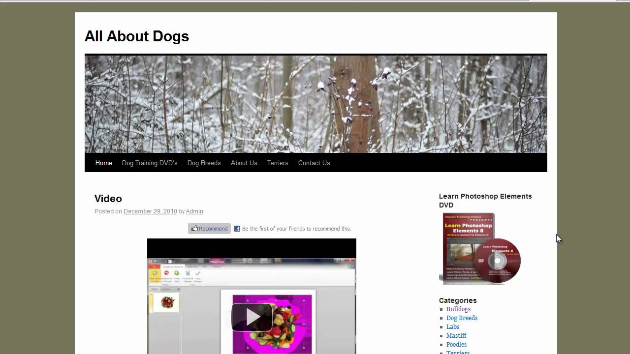 Learn Wordpress Tutorials - Top 10 Wordpress Plugins Part 3