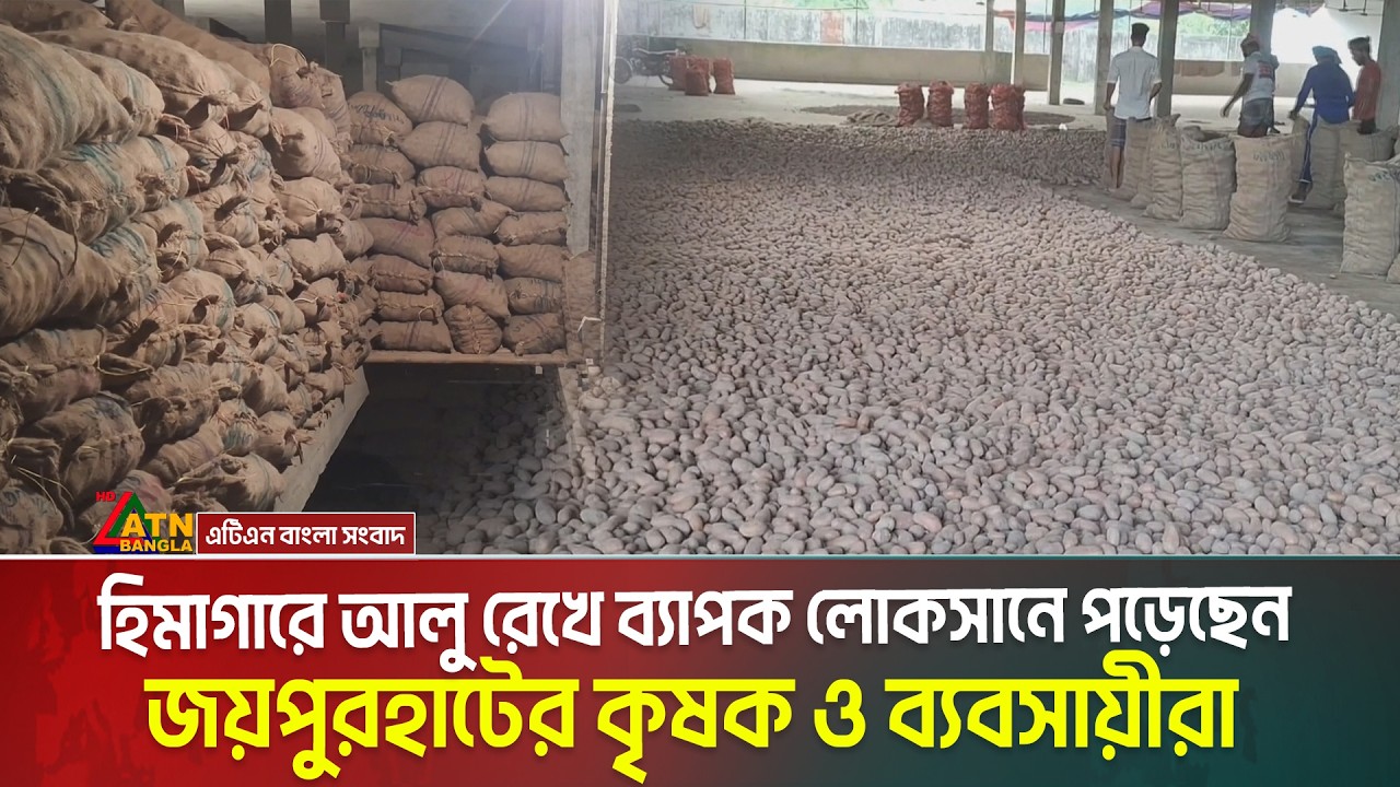 Farmers and traders of Joypurhat have suffered huge losses due to keeping potatoes in cold storage. Joypurhat | ATN Bangla News