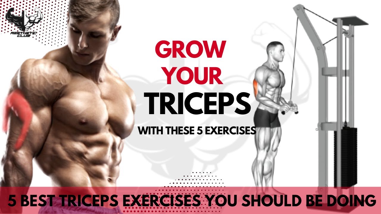 5 Best Triceps Exercises You Should Be Doing