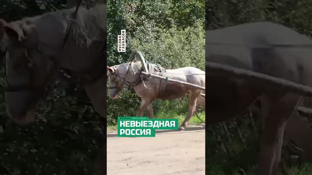 Транспортный кризис бьёт по регионам, пока Кремлю рисуют картину успеха