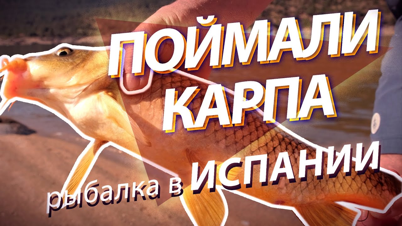 Рыбалка в Испании. Ловим карпа. Embalse del Burguillo
