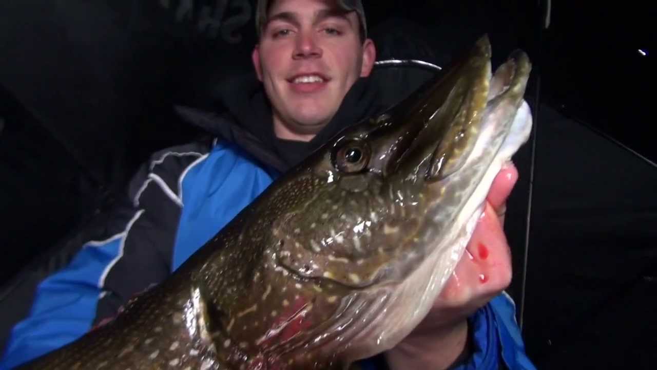Michigan Pike Spearing - GREAT FOOTAGE!