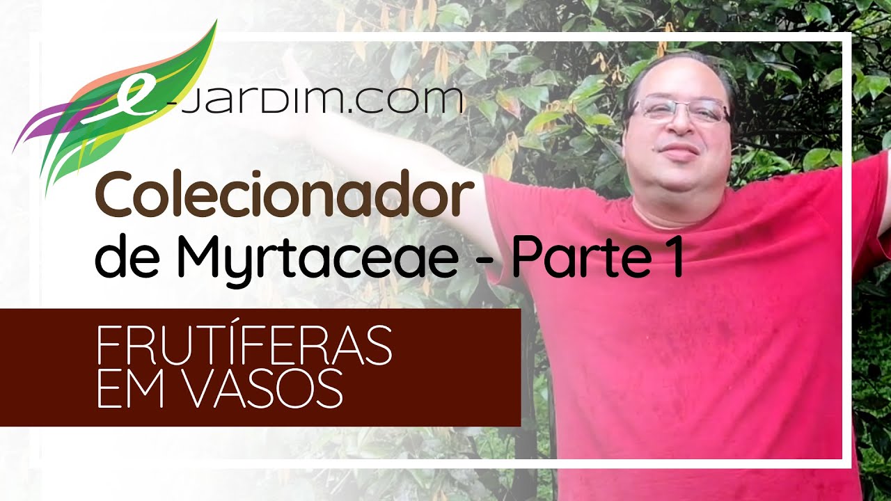 Visitando um Colecionador de Myrtaceae - Parte 1 - Frutíferas em Vasos | Sítio E-jardim