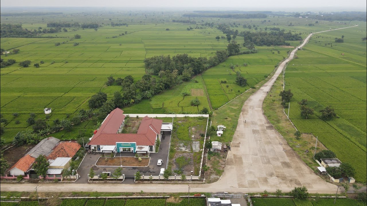 PENGHIJAUAN AREA JALAN LINGKAR UTARA | DESA SUKAMULYA - KERTAJATI - MAJALENGKA