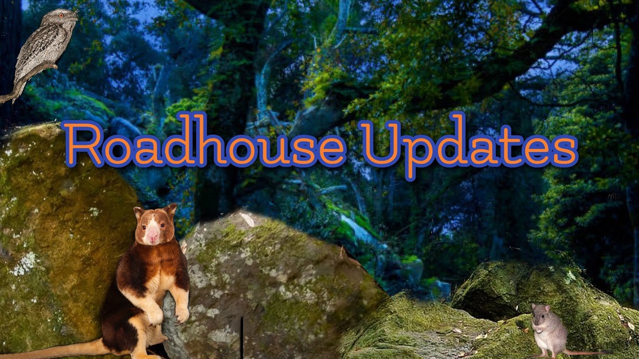 Safari Shorts: Roadhouse Updates