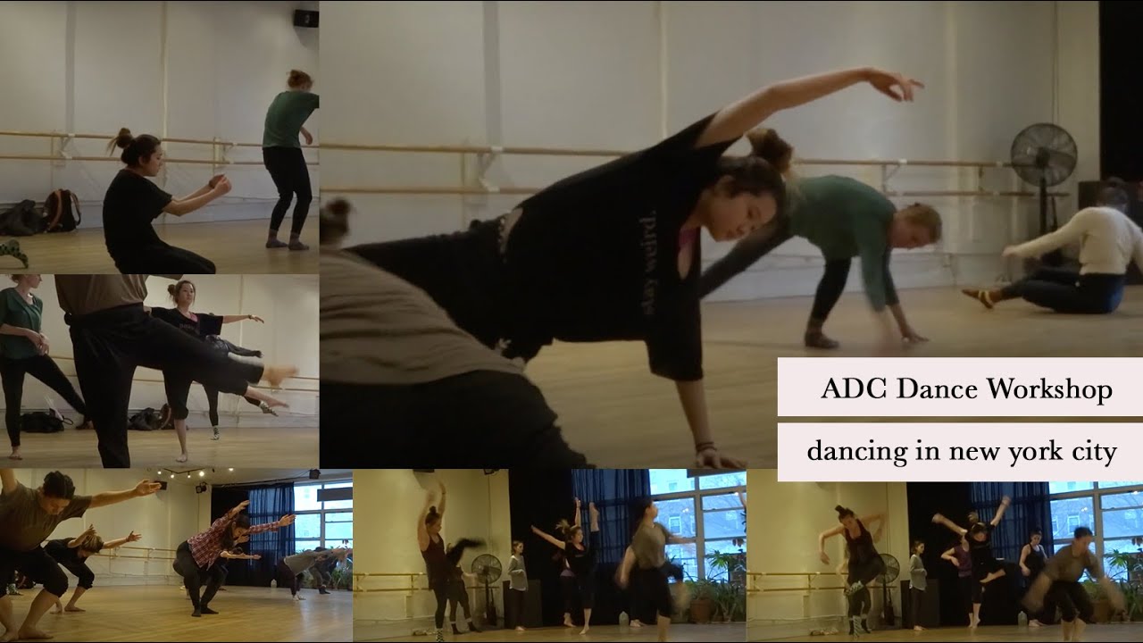 My Experience at the ADC AAS12 Workshop
