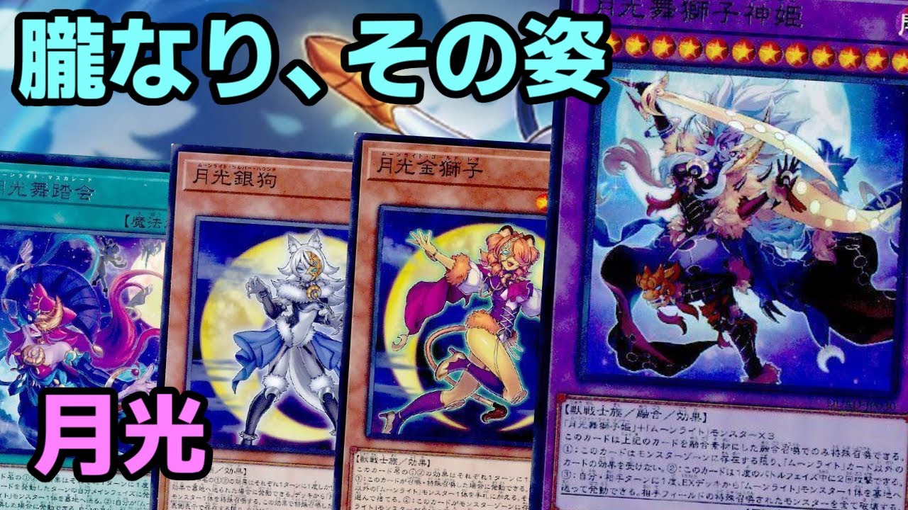 【#遊戯王】ワンキルテーマに遂に妨害登場！過去の強カードも相まって凄いことになった『月光』紹介します！【#トレカカルテ】