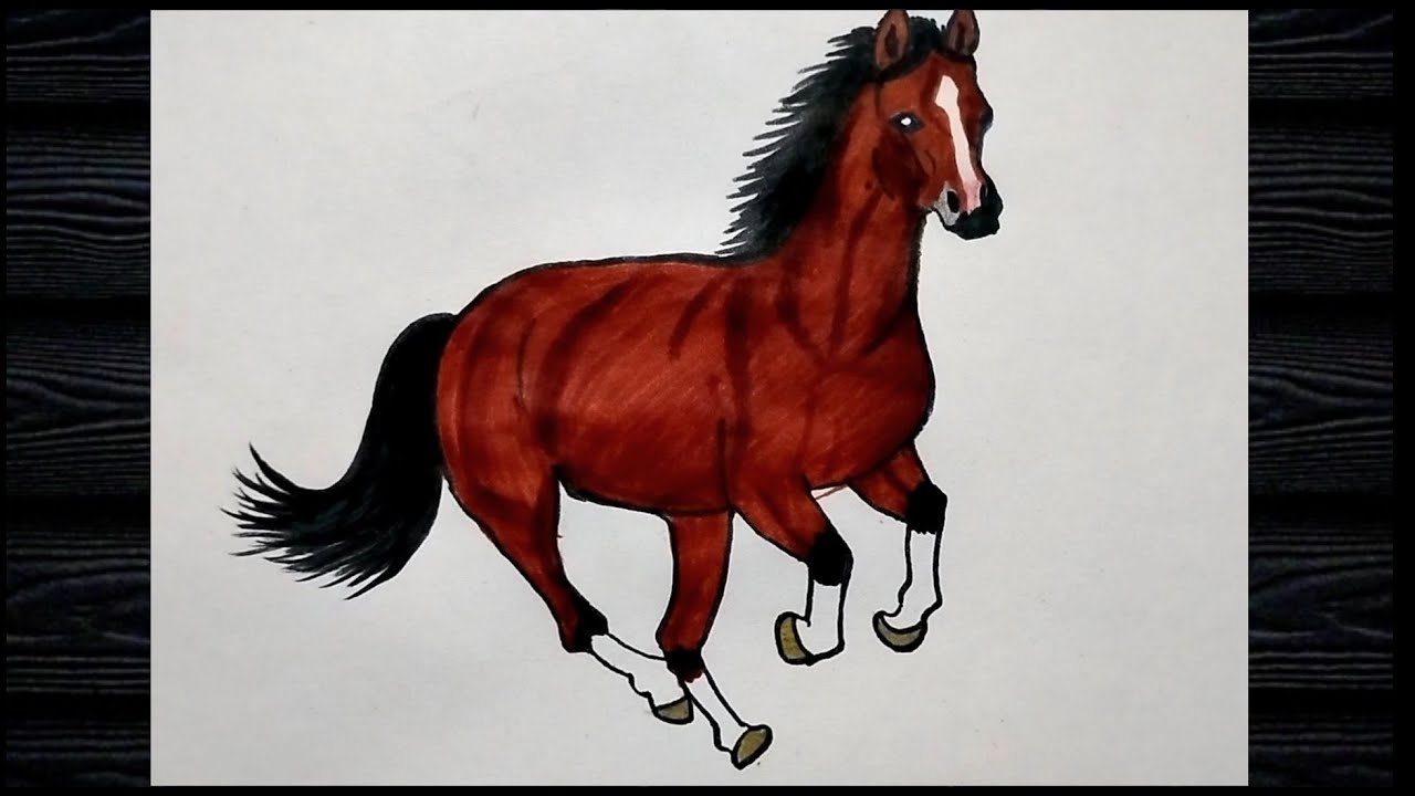 realistic horse drawing  // step by step horse drawing