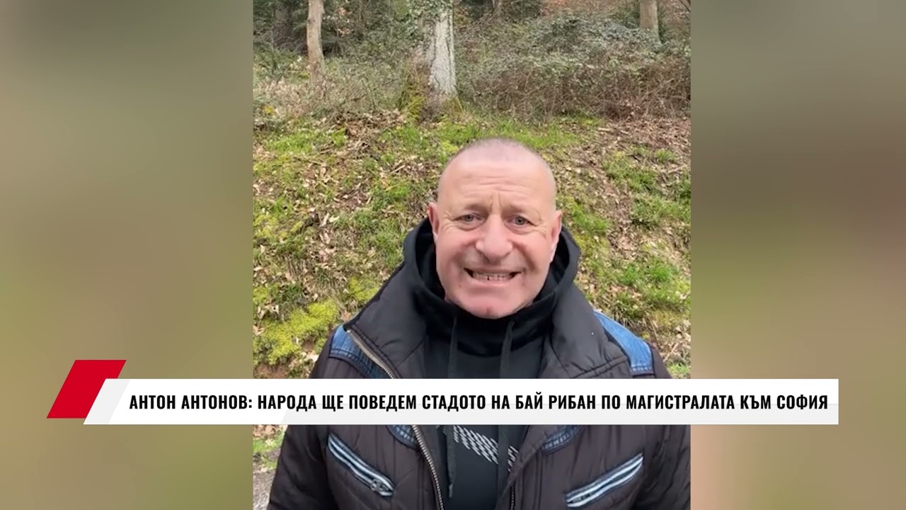 АНТОН АНТОНОВ: НАРОДА ЩЕ ПОВЕДЕМ СТАДОТО НА БАЙ РИБАН ПО МАГИСТРАЛАТА КЪМ СОФИЯ