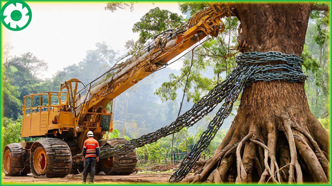 Most Big Chainsaw Cutting Tree Machines | Biggest Heavy Equipment Machines